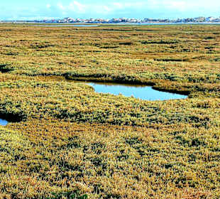 Der Weg ist das Ziel