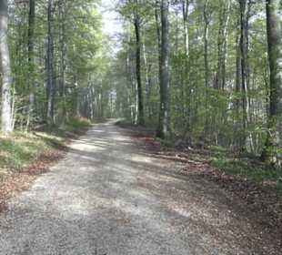 Wanderweg Hochgehswiggert