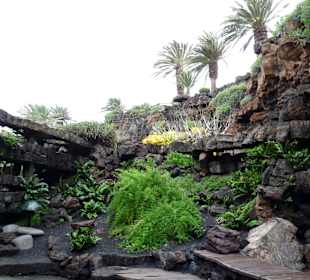  Jameos del Agua Cesar Manrique