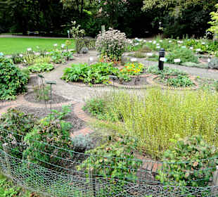 Der Kneipp-Kräutergarten des Kurparks