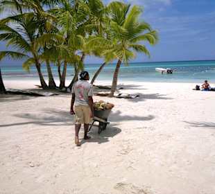 Insel Saona traumhaft