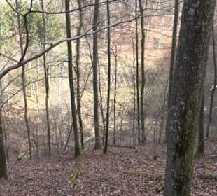 Wolfsschlucht