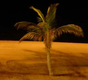 Playa de las Canteras bei Nacht