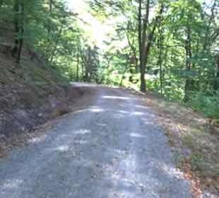 Wanderung Kirnberg-Runde Bebenhausen