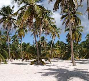 Unbewohntes Land im Paradies