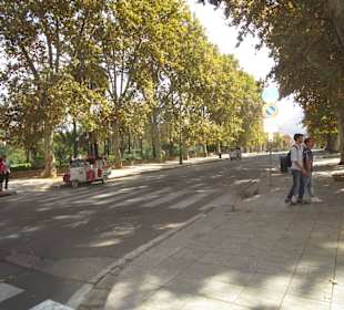 Normannenpalast - Palazzo Reale