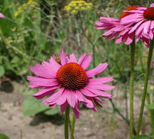 Impressionen aus dem Park der Gärten
