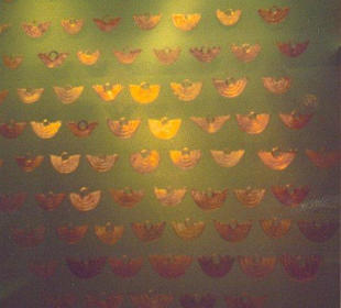 Goldener Nasenschmuck