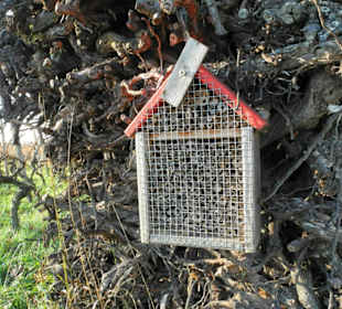 Insektenhotel am Skulpturenrundweg