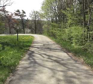 Waldlehrpfad an der Lauter