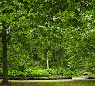 Кладбище Ольсдорф, Гамбург, 16 сентября 2013 года