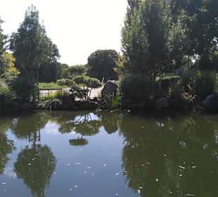 Teich bei Teehaus