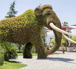 Ein Mammut