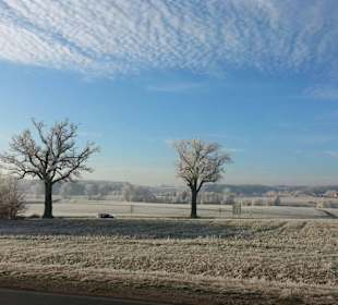 Traumwetter am 08.12.2016