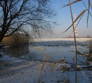 Elbe - bei Hollern-Twielenfleth