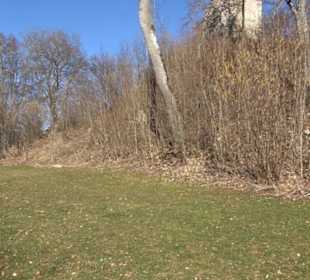 Burgruine Hohenstein