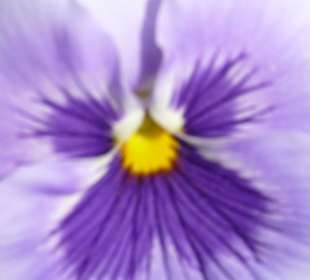 Planten und Bloomen Freizeitpark