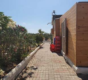 Viking Beach Club - Rückseite Küche