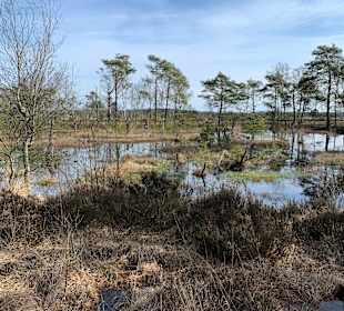 Pietzmoor