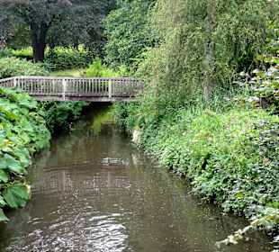 Spaziergang durch das Schönebecker Auetal