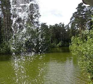 Iserhatsche Bispingen