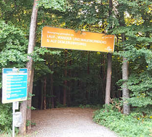 Wandern Loipersdorf bei Fürstenfeld