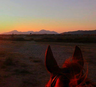 The view from the stables. Lots of open space