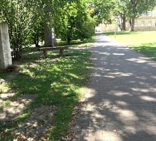 Schlosspark Hohenheim