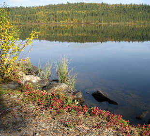 Gjökvatn
