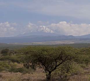 Kilimanjaro