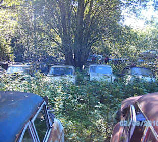 Autofriedhof am Foxen