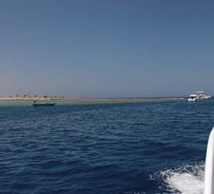 Korallenriff Soma Bay