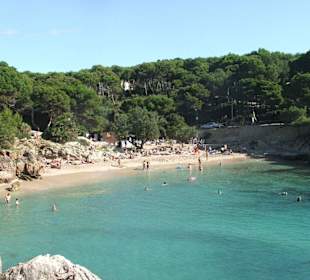 Spiaggia vicina all'albergo