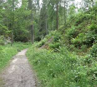 Wanderweg - Alter Steinbruch Pfaffenberg Runde