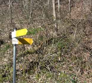 Geologischer Lehrpfad Kirnbachtal