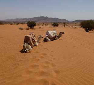 In den Sanddünen Kamelreiten wurde angeboten