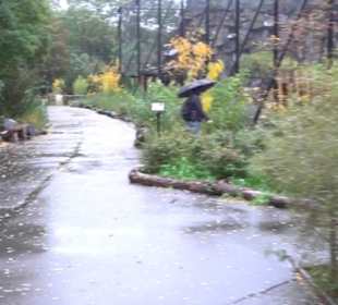 Tierpark 