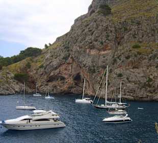 Viele Yachten in der Bucht