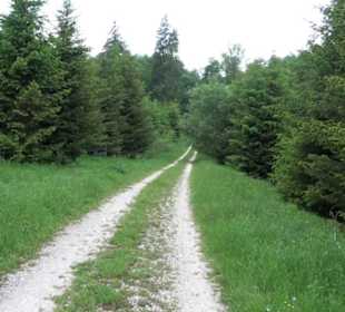 Klimaweg Sonnenalb