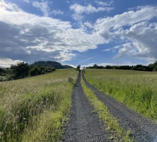 Sport & Freizeit