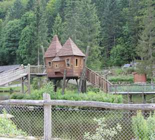 Озеро в парке