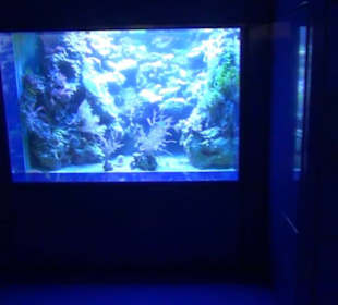 Niedersächsisches Landesmuseum