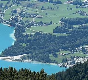 Ausblick