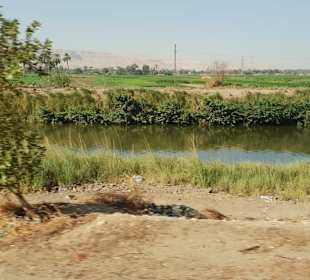 Ausflug nach Luxor