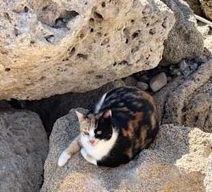 Wandern Rhodos Stadt