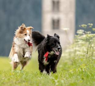 Wandern Seiser Alm