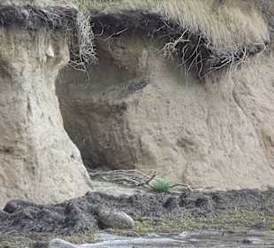 Inselrundfahrt Insel Poel