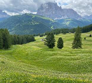Wandern Seiser Alm