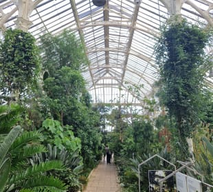 Gewächshaus