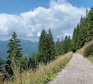 Wanderweg auf den Wallberg